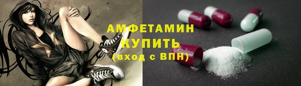 хмурый Алзамай