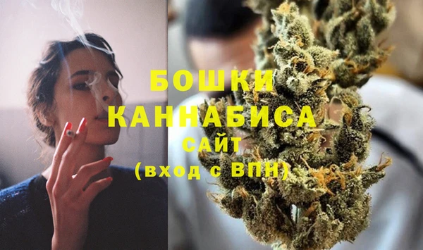шишки Алексеевка