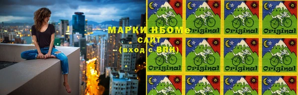 хмурый Алзамай