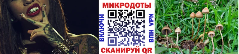 наркошоп  Любим  Псилоцибиновые грибы мухоморы 
